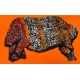 Scarf de colores con Printed Floral Zara, NUEVA, talla mediana, b193